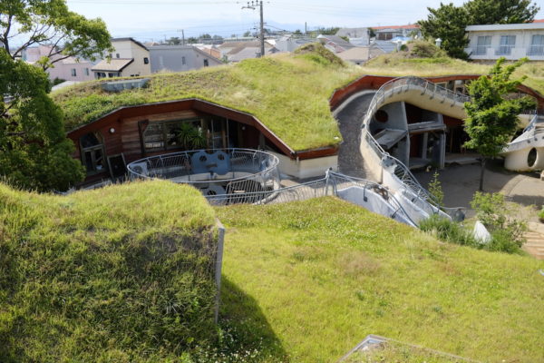 勾配のある木造屋根の緑化システム 草屋根 の施工事例 株式会社イケガミ